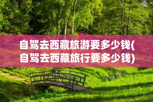 自驾去西藏旅游要多少钱(自驾去西藏旅行要多少钱)