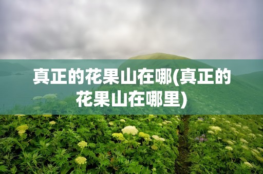 真正的花果山在哪(真正的花果山在哪里)
