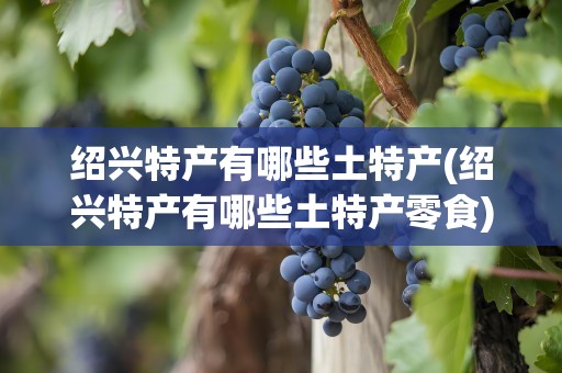 绍兴特产有哪些土特产(绍兴特产有哪些土特产零食)