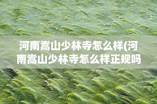 河南嵩山少林寺怎么样(河南嵩山少林寺怎么样正规吗)