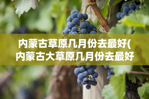 内蒙古草原几月份去最好(内蒙古大草原几月份去最好)