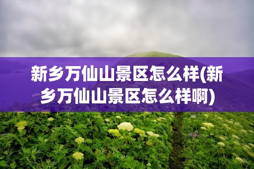 新乡万仙山景区怎么样(新乡万仙山景区怎么样啊)