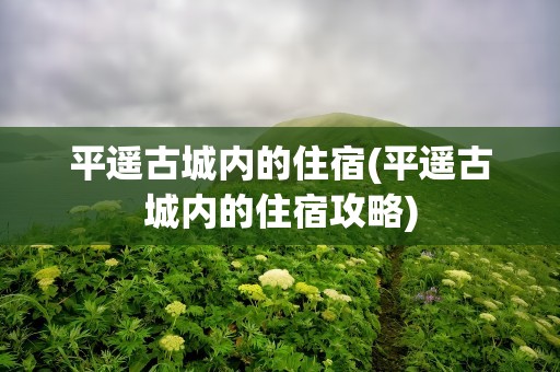 平遥古城内的住宿(平遥古城内的住宿攻略)