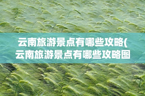 云南旅游景点有哪些攻略(云南旅游景点有哪些攻略图片)