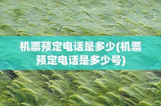 机票预定电话是多少(机票预定电话是多少号)