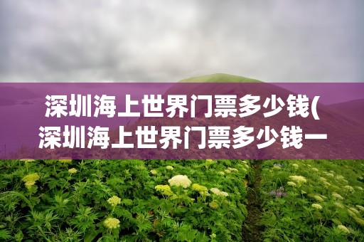 深圳海上世界门票多少钱(深圳海上世界门票多少钱一张)