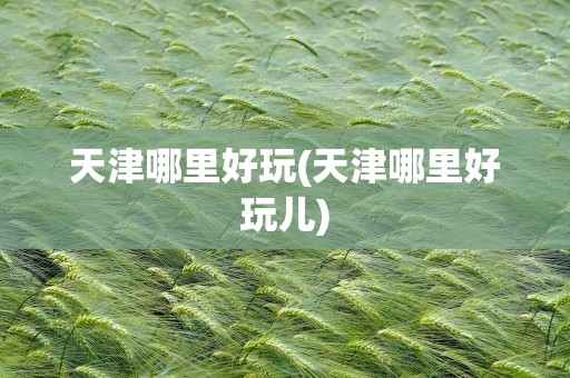 天津哪里好玩(天津哪里好玩儿)