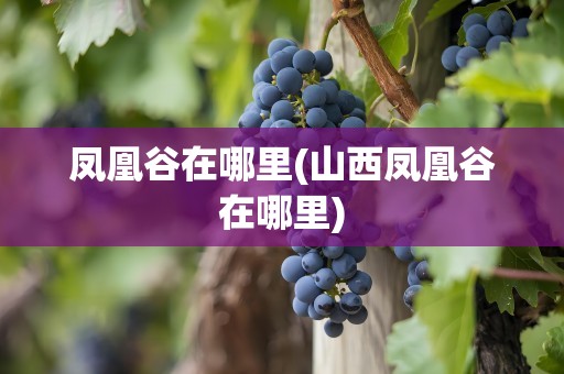 凤凰谷在哪里(山西凤凰谷在哪里)